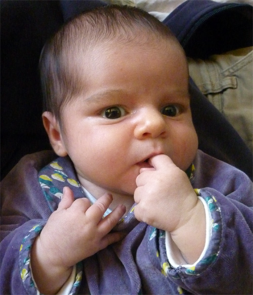 photo19